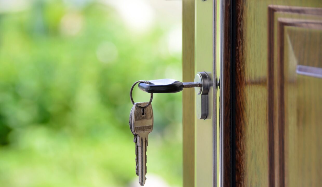 New Home Owner