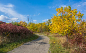 Hamilton Rail Trail