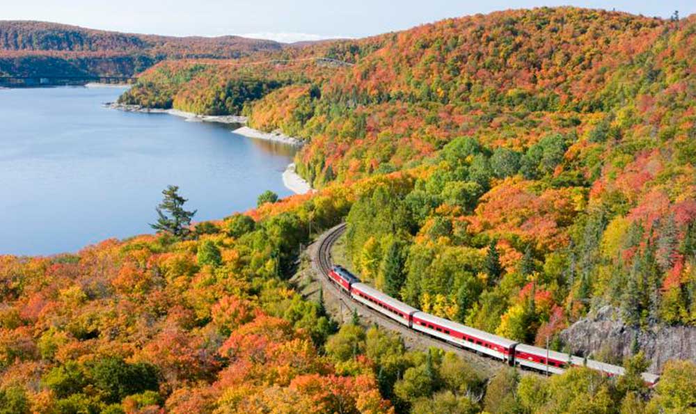 fall colour excursions south simcoe railway