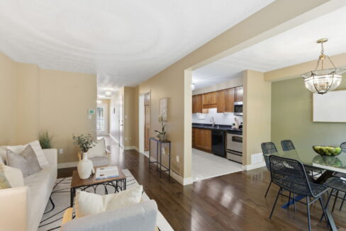 13-web-or-mls-13-Tobias Smulders_255 Mt Albion Rd 43